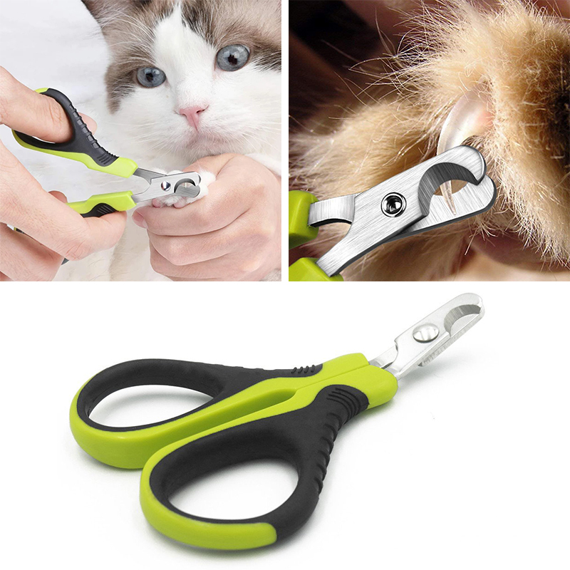 Pet Supplies And More - 개 고양이 토끼 햄스터 새 및