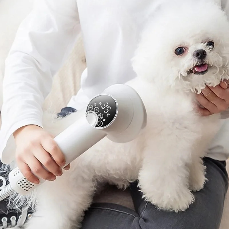 Pet Supplies And More - 전문 애완동물 헤어 드라이어 강아지 고양이