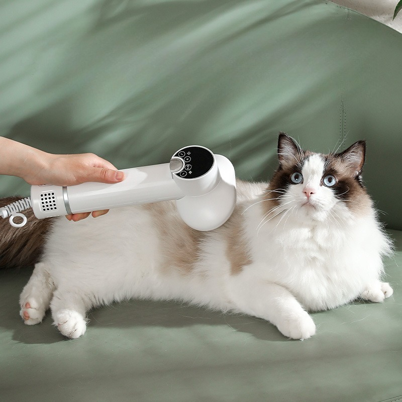펫 스마트 전기 드라이어 머신 전문 애완 동물 헤어 드 - Pet Supplies And More 리뷰 및 가격