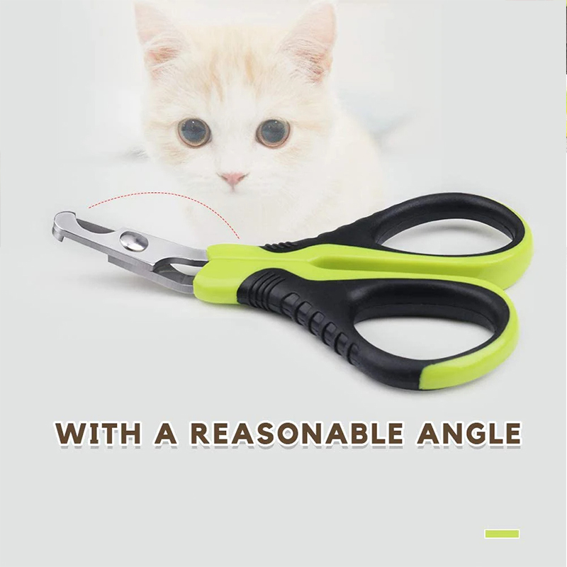 개 고양이 토끼 햄스터 새 및 기타 애완 동물 용품에  - Pet Supplies And More 리뷰 및 가격