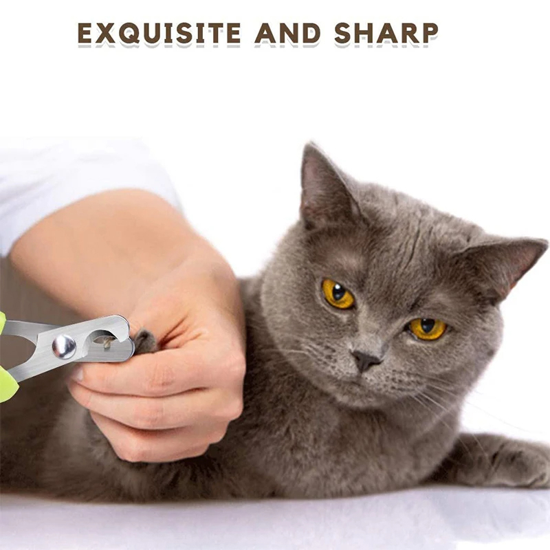 개 고양이 토끼 햄스터 새 및 기타 애완 동물 용품에  - Pet Supplies And More 리뷰 및 가격