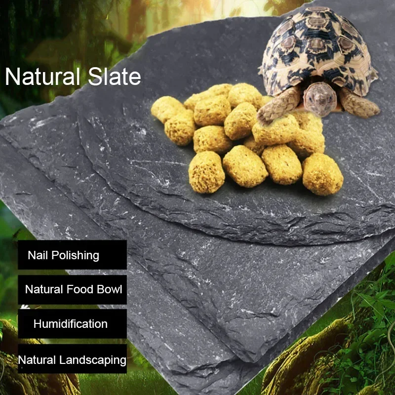 천연 슬레이트 수족관 애완 동물 파충류 먹이 그릇, 대 - Pet Supplies Fish 리뷰 및 가격