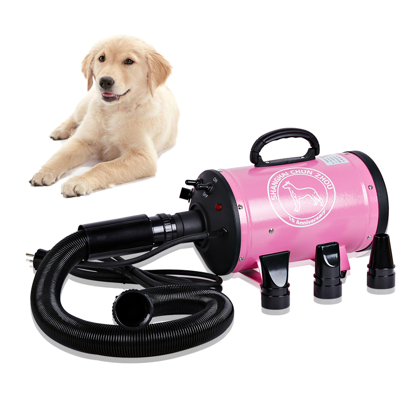 BS-2400 반려동물 용품 건조기, 반려동물 용품,  - Pet Supplies And More 리뷰 및 가격