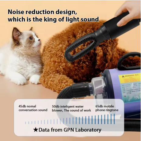 2800W 고출력 애견 헤어 드라이어 고양이 그루밍 워 - Pet Supplies And More 리뷰 및 가격