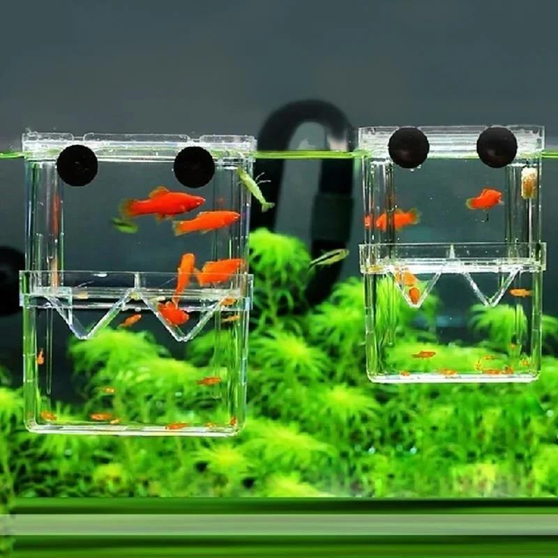 투명 물고기 수족관 높은 투명한 번식 격리 상자 애완  - Pet Supplies Fish 리뷰 및 가격