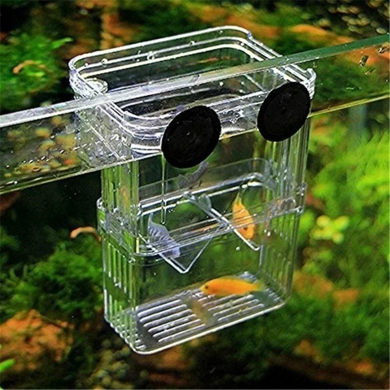 투명 물고기 수족관 높은 투명한 번식 격리 상자 애완  - Pet Supplies Fish 리뷰 및 가격