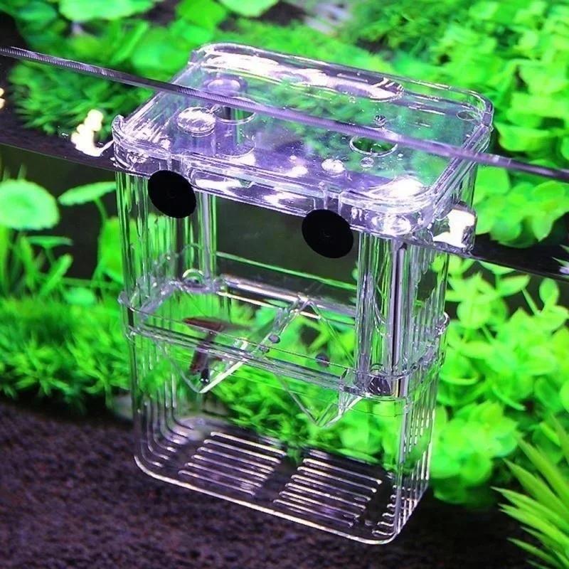 투명 물고기 수족관 높은 투명한 번식 격리 상자 애완  - Pet Supplies Fish 리뷰 및 가격