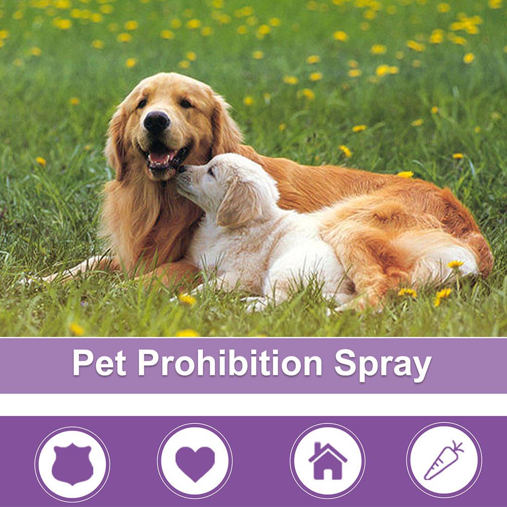 애완동물 진정 스프레이 애완용품 애완동물 페로몬 진정  - Pet Supplies Nz 리뷰 및 가격