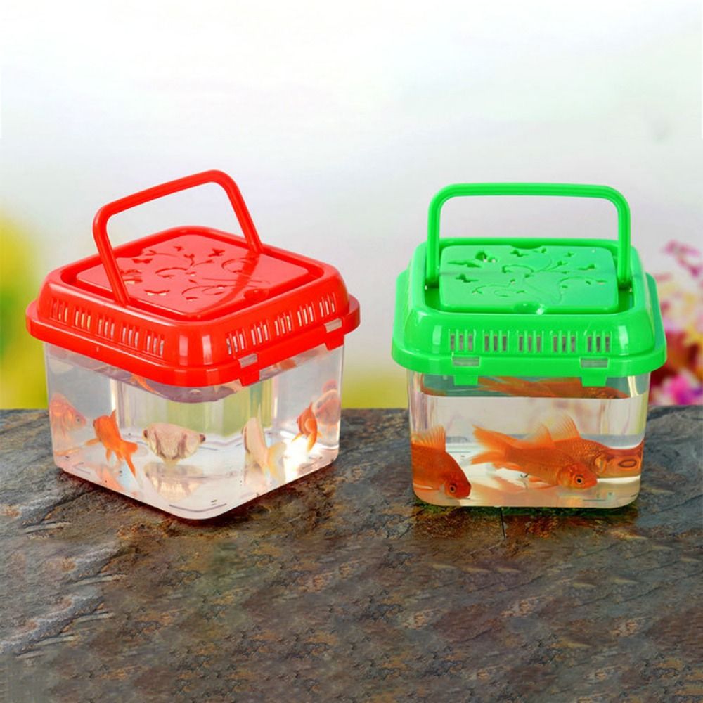 미니 휴대용 어항 애완 동물 용품, 테라리움 소형 플라 - Pet Supplies Fish 리뷰 및 가격