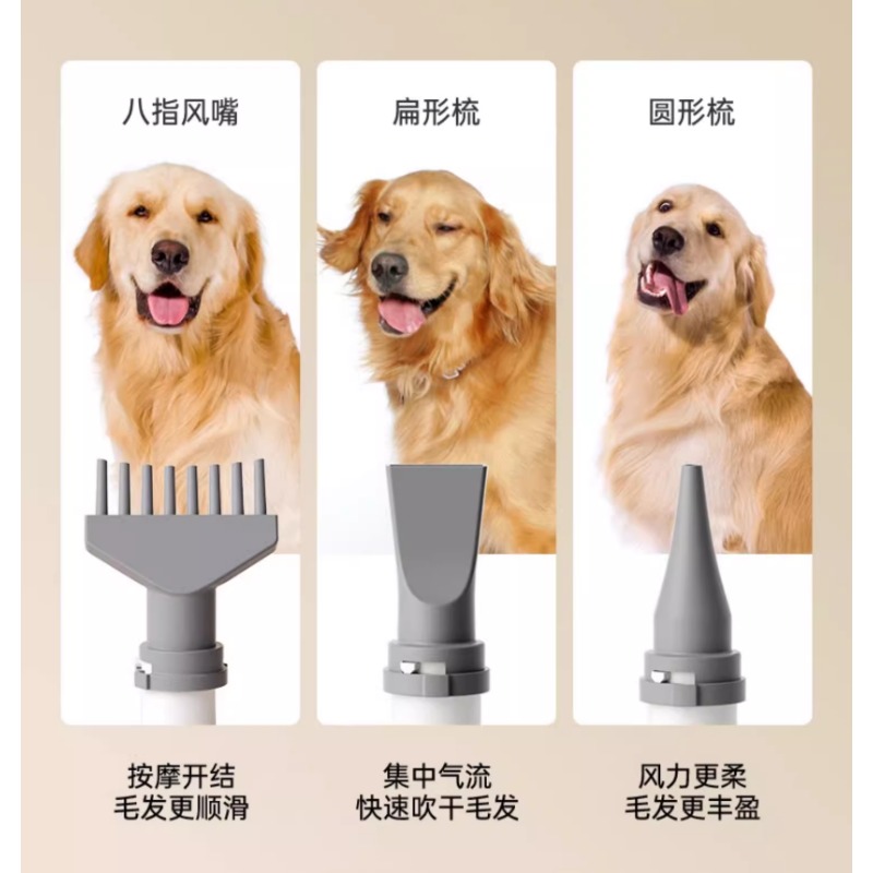 애완동물용 스마트 건조기 가정용 대형견용 블로우 드라이 - Pet Supplies And More 리뷰 및 가격