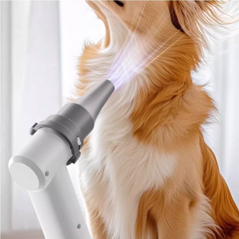 애완동물용 스마트 건조기 가정용 대형견용 블로우 드라이 - Pet Supplies And More 리뷰 및 가격