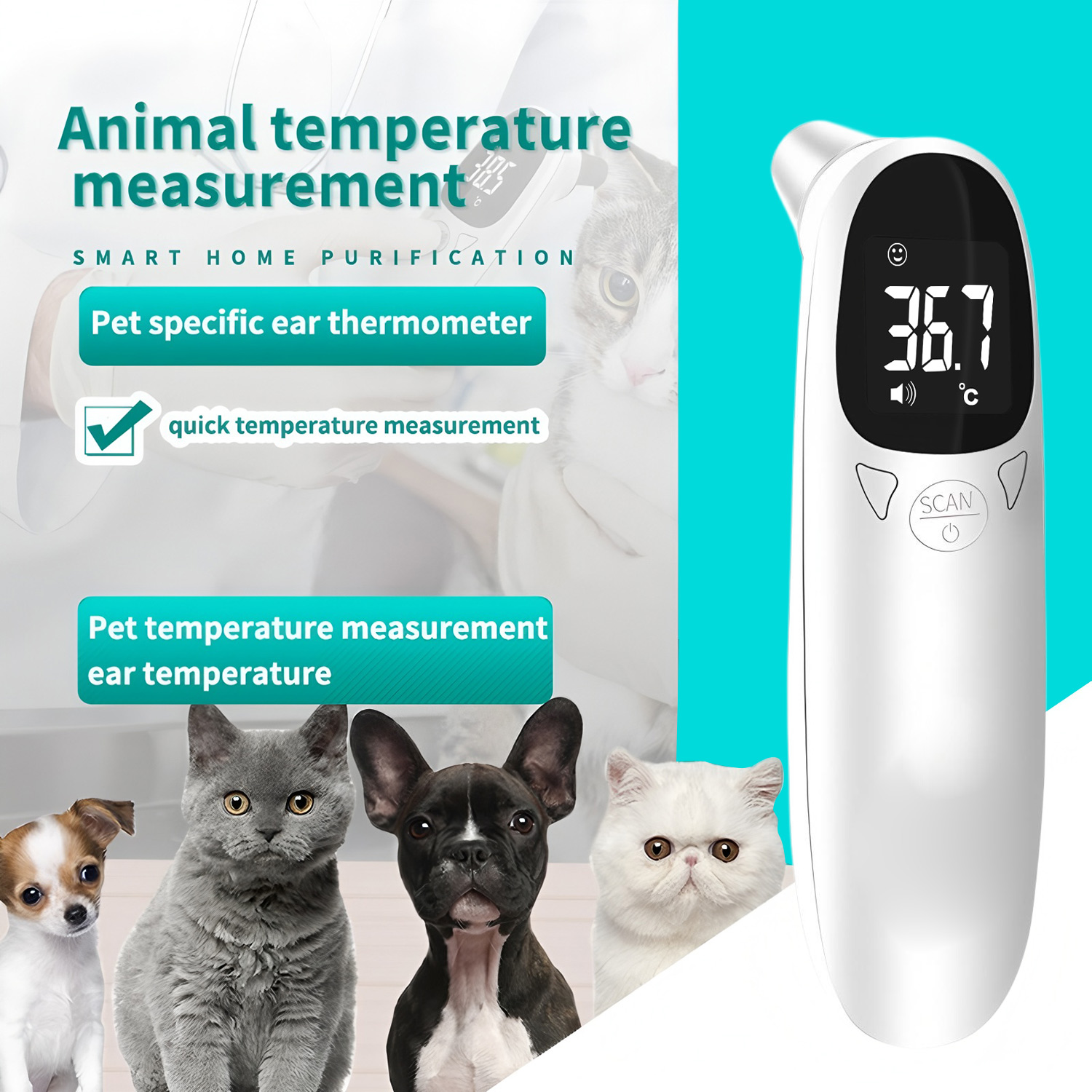 애완동물 귀 디지털 체온계, 비접촉식 전자 온도 측정기 - Pet Supplies Nz 리뷰 및 가격