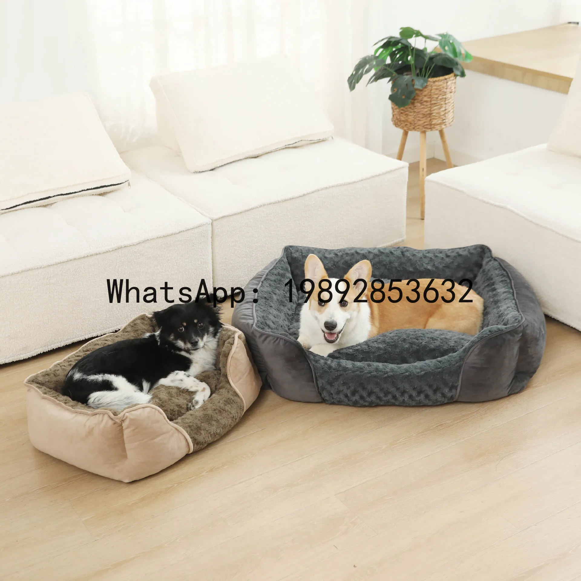 X 고양이 집 반폐쇄형 개집 사계절 애완용품 - Pet X Supplies 리뷰 및 가격