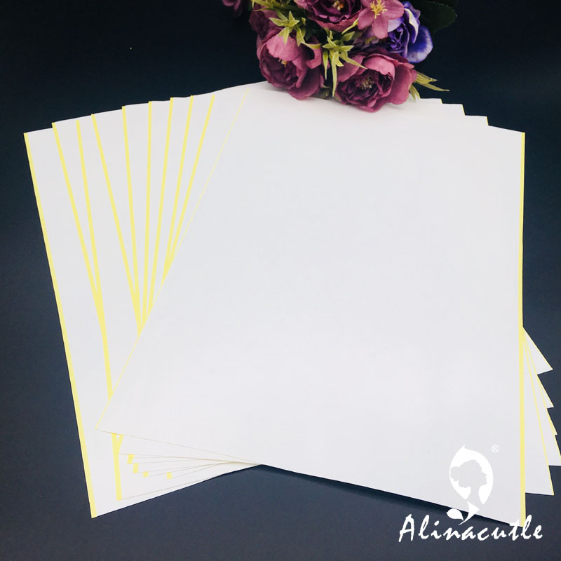 강력 접착 투명 스티커 양면 테이프, 투명 아트지, 공 - Pet X Supplies & Tack Howell Photos 리뷰 및 가격