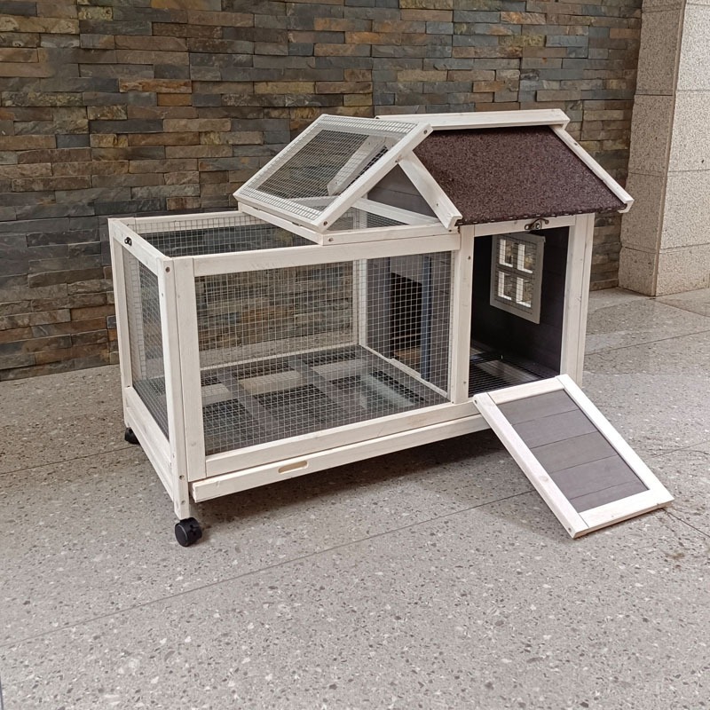가정용 초대형 애완동물 케이지, 토끼, 기니피그, 다람 - Pet Supplies And More 리뷰 및 가격