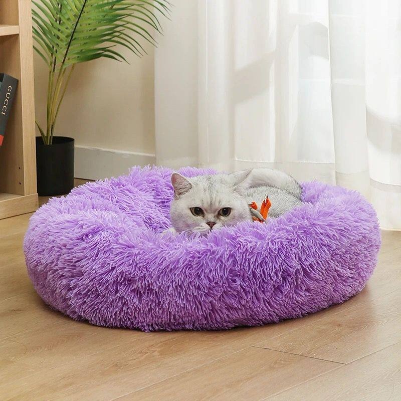 파티 코튼 도그 베드 플러피 모던 호주산 메모리폼 강아 - Pet Supplies Australia 리뷰 및 가격